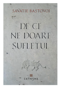 De ce ne doare sufletul - Savatie Baștovoi