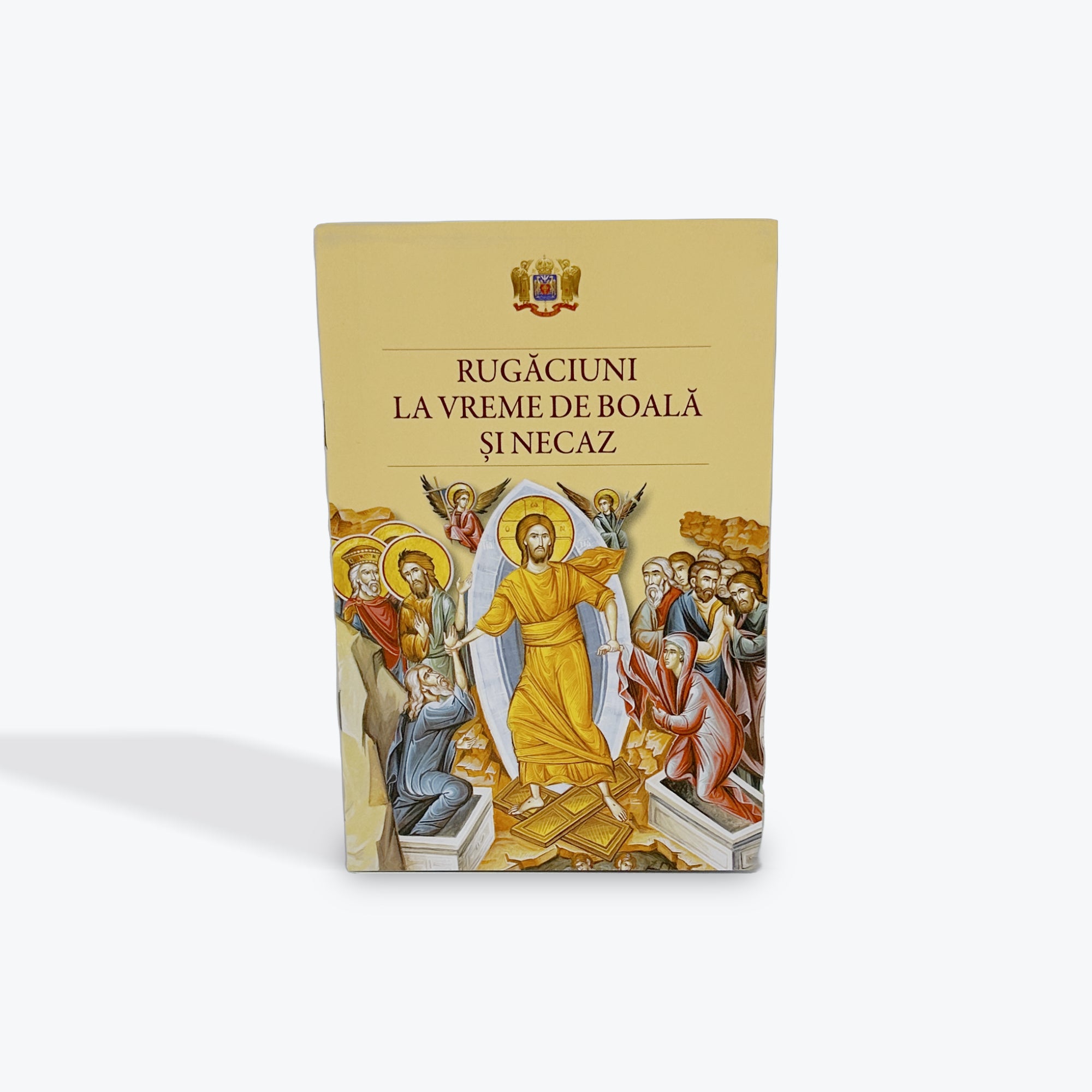 Rugăciuni la vreme de boală și necaz
