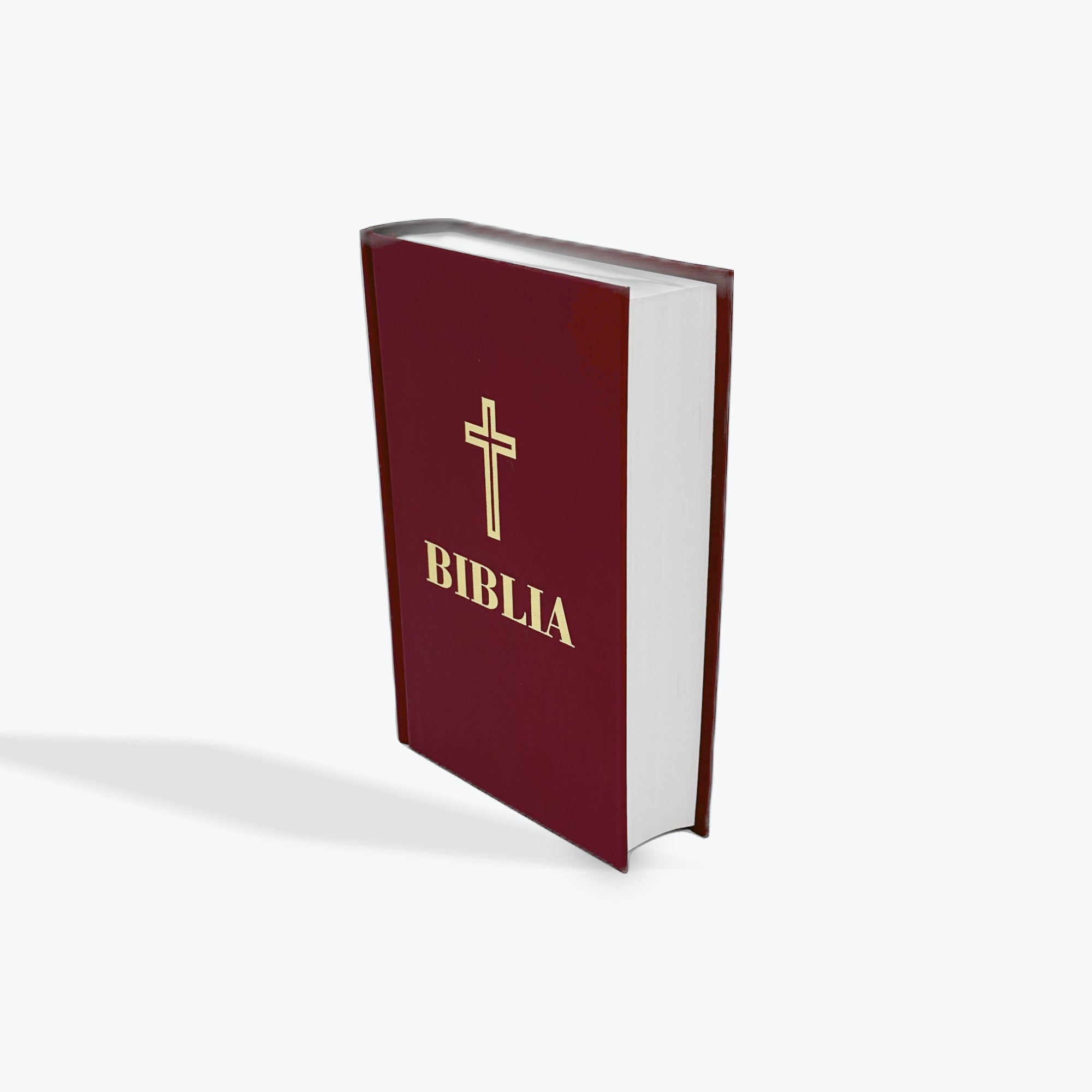 BIBLIA