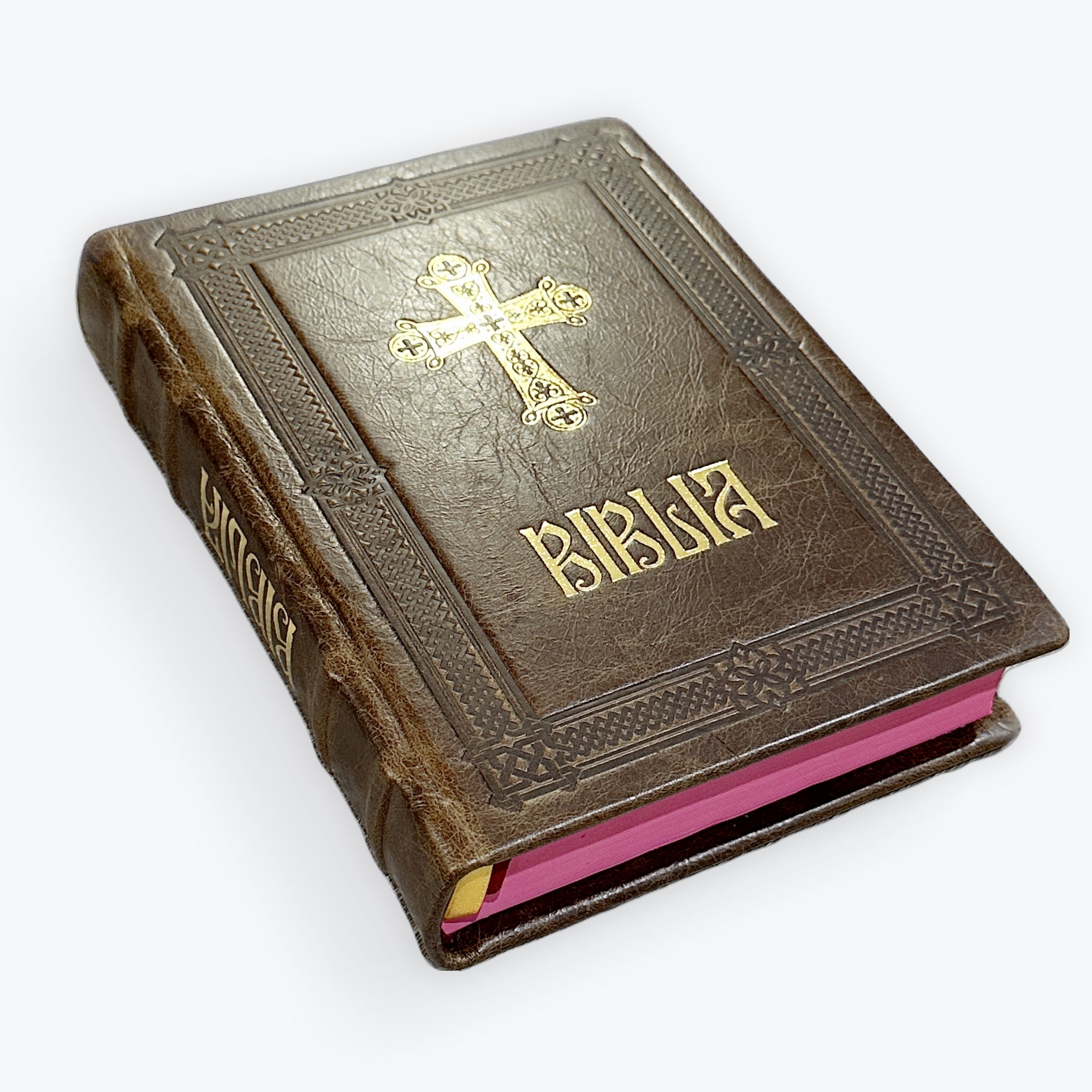 Biblia - Copertă Piele