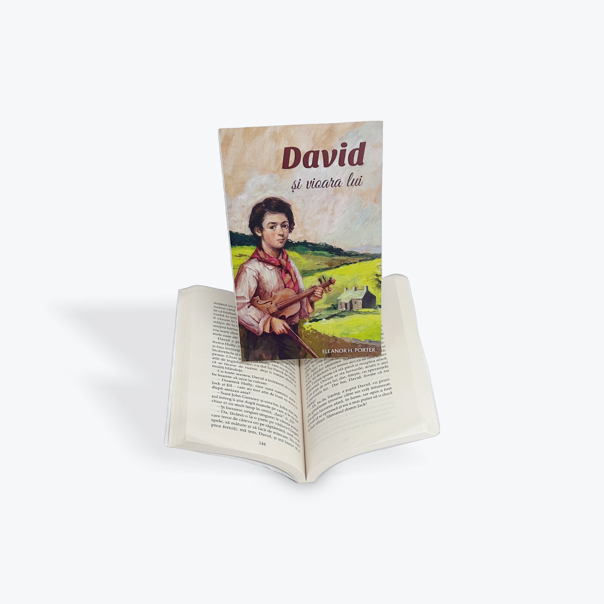 David și vioara lui - Eleanor H. Porter