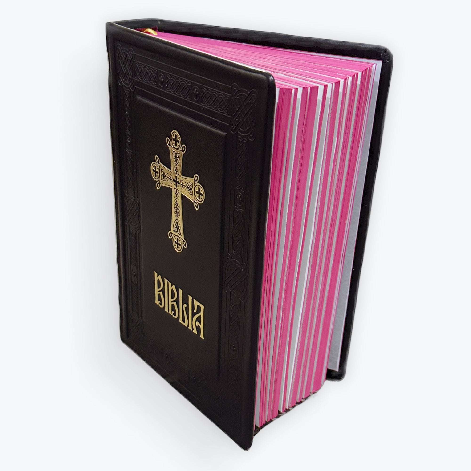 Biblia - Copertă Piele