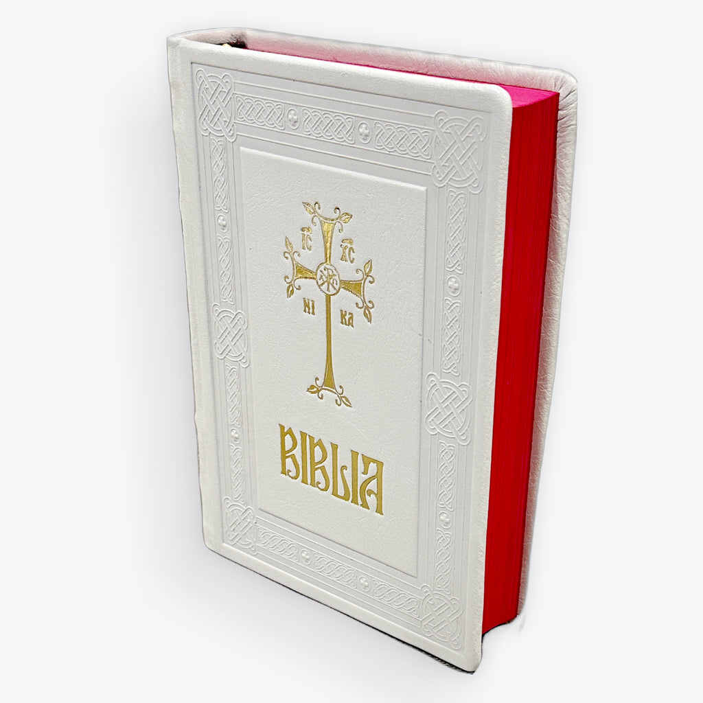 Biblia - Copertă Piele