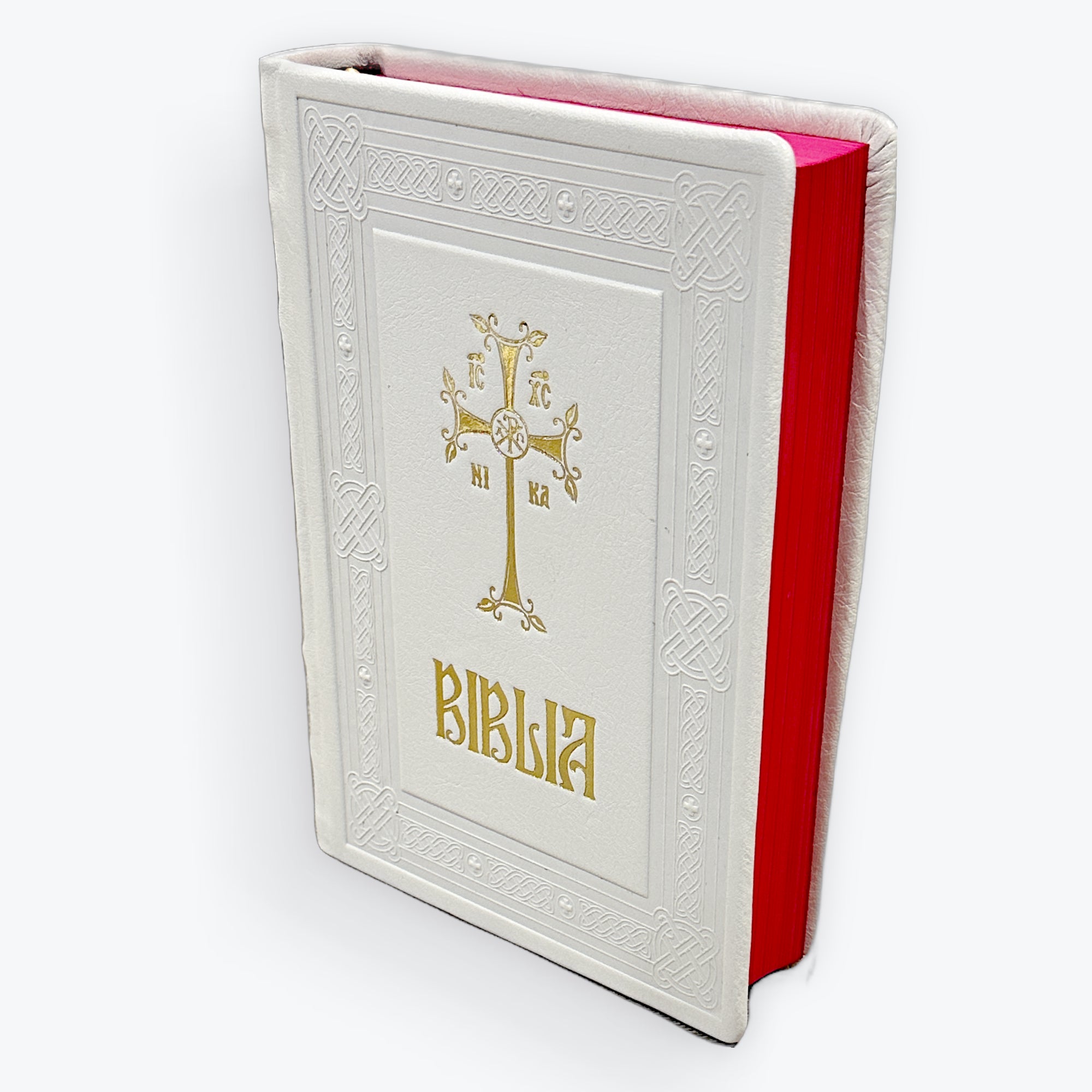 Biblia - Copertă Piele