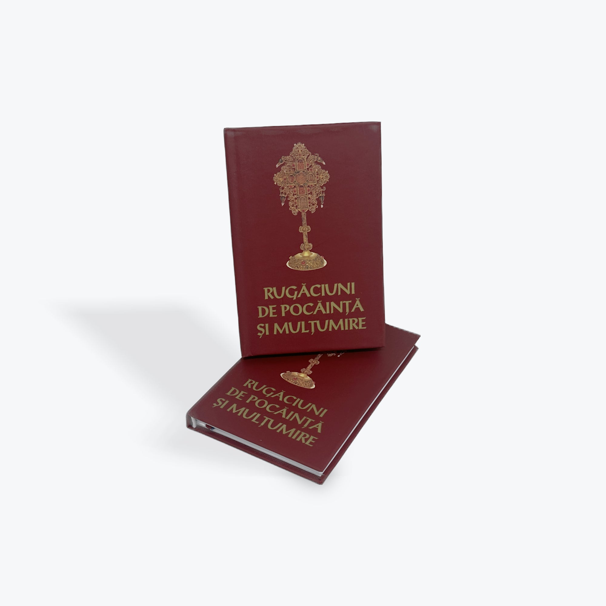 Rugăciuni de pocăință și mulțumire