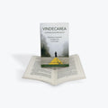 Vindecarea lucrare duhovnicească - Pr. Joshua Makoul